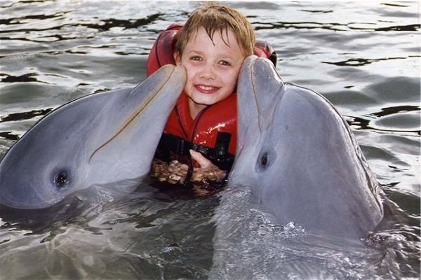 Дельфины - Целебный эффект от общения с дельфинами